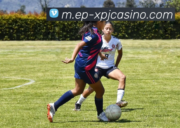 新葡京娱乐平台生态图