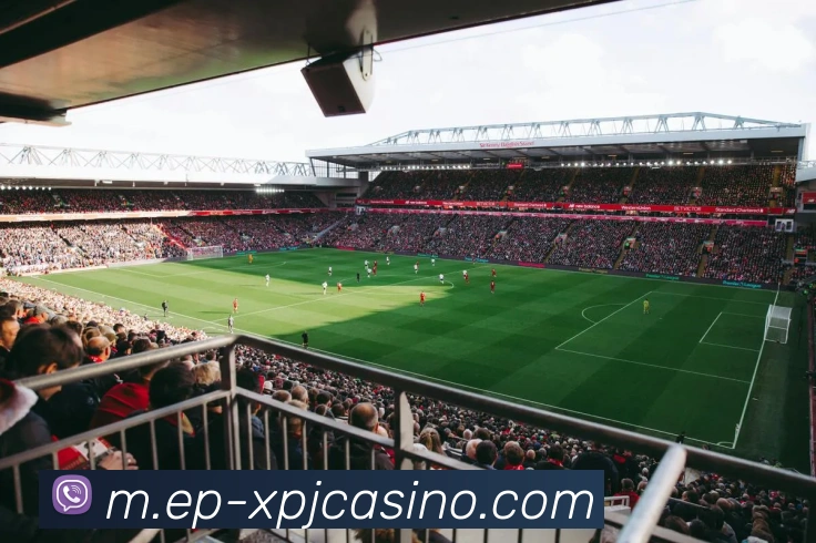 新葡京娱乐APP 封面图